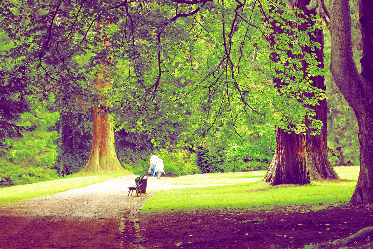 15-paysage-mariemont