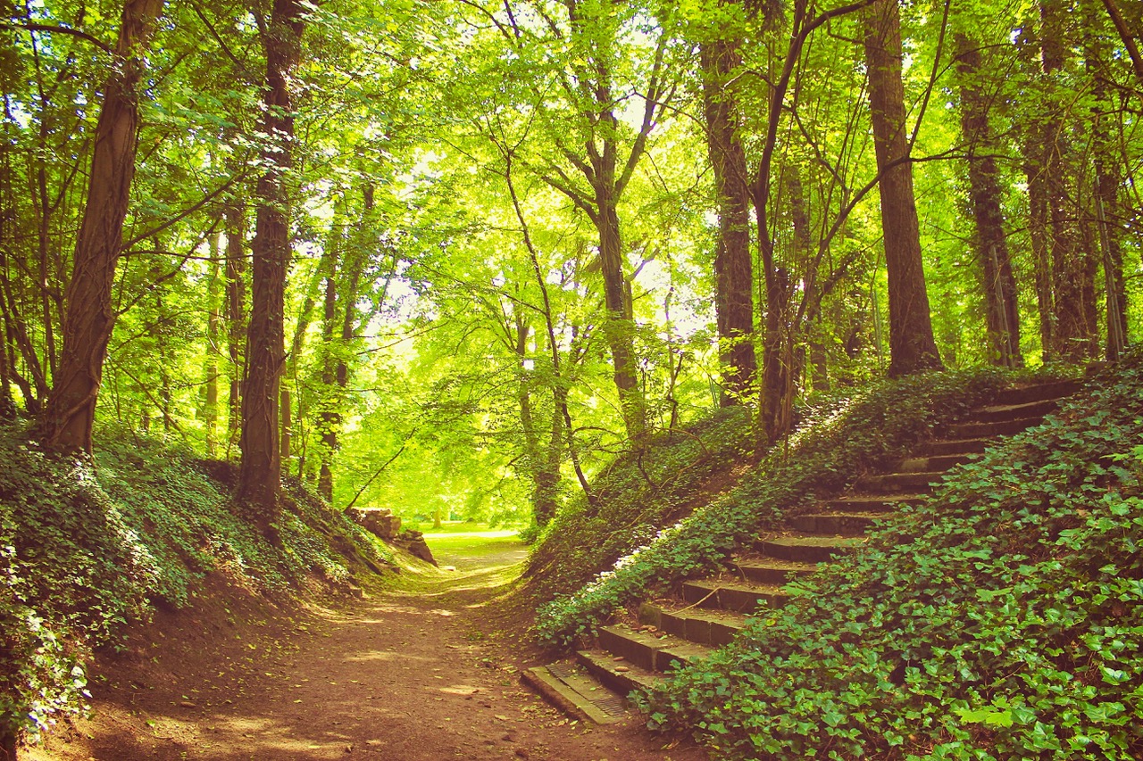 3-escalier-parc-mariemont