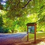 La Découverte du parc